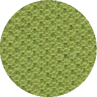 GREEN APPLE , with printing , t-shirt printing , custom t-shirt printing T shirt printing in pune , t shirt printing in pimpri chinchwad, custom t shirts in pune, custom t shirts in pimpri chinchwad